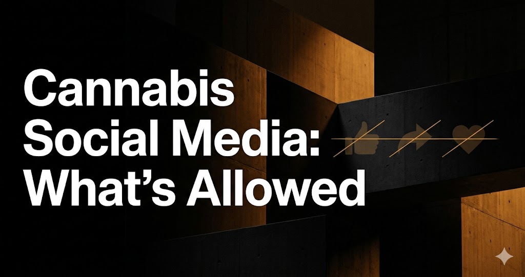 Cannabis Social Media Marketing South Africa: Organic Wins in a Restricted World